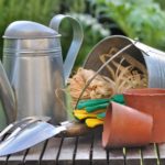 Clean Your Gardening Tools