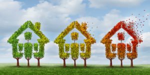 Finding Your Ideal Palmetto Home